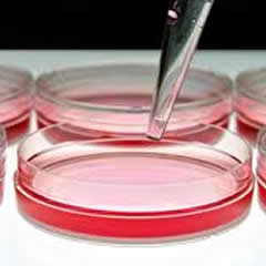 BIO Tijuana Manufacturing