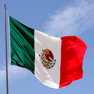 Free Trade Agreement Mexico Corporation