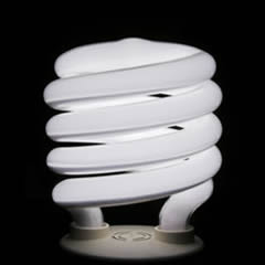 sustainable Sustainable Lighting Program
